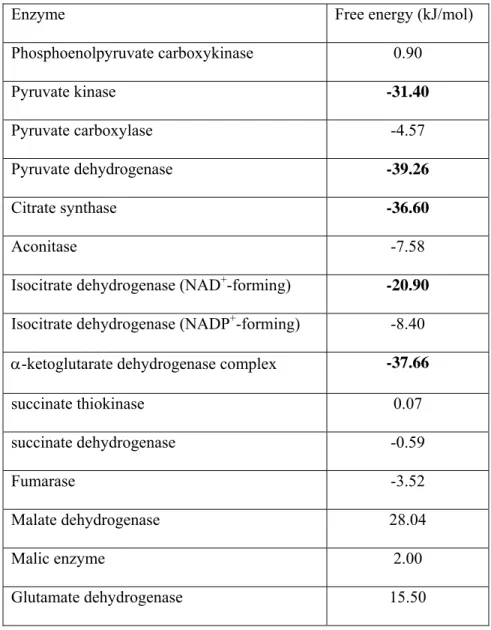 Table I: Thermodynamic properties of selected enzymatic reactions of the citric acid cycle and related  reactions, adapted from (Li et al., 2011) and (Stryer L, 1995)