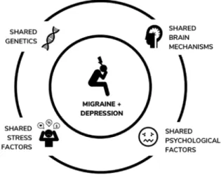 Figure 1 summarizes the discussed shared factors  of comorbid migraine and depression.
