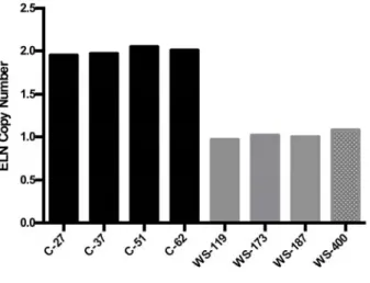 Figure S1: Confirmation of WS diagnosis by ELN copy number.  We performed ELN  copy number analysis to confirm the WS diagnosis.  DNA from four unaffected individuals  (black bars) and one WS individual with a known positive ELN FISH (WS‐400, CN=1, gray  b