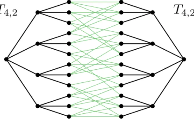 Figure 4. Two disjoint copies of T 4,2 with additional edges between the boundaries Mutual information decay, Theorem 3