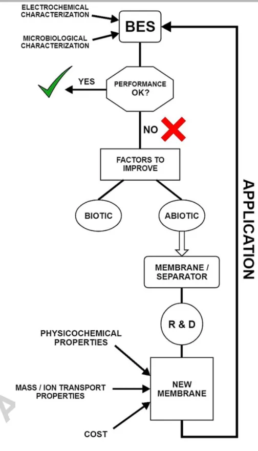 Fig. 1 – Process flow chart of BES development from a membrane/separator point of  view