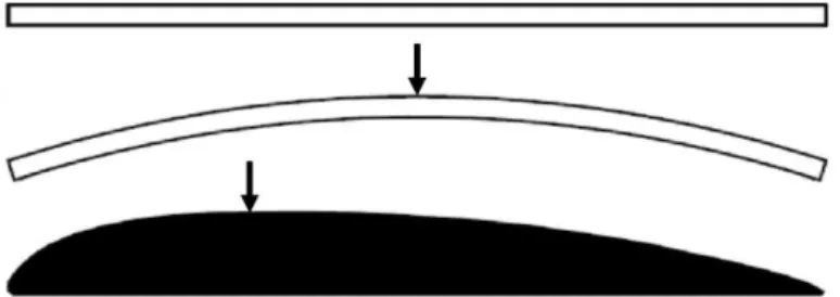 Figure 2. Cross-sections of the profiles [7]. Flat (top), cambered (middle), airfoil (bottom)