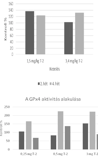 7. ábra A foszfolipid-hidroperoxid glutation-peroxidáz (GPx4) aktivitás változása rövidtávú, nagydózisú T-2  toxin terhelés hatására pontyban 