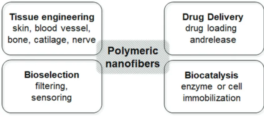 Figure 1. Application fields of nanofibers as functional biomaterials.