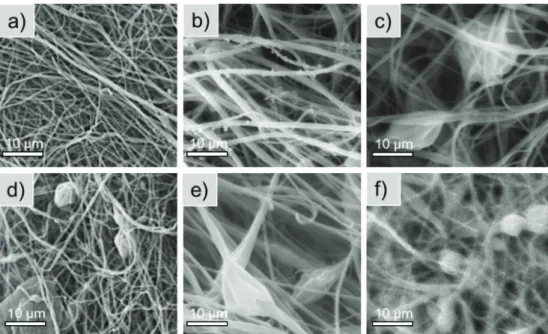 Figure 6. Scanning electron microscope images of polyaspartamide nanofibers loaded with different amounts of CaLB: 