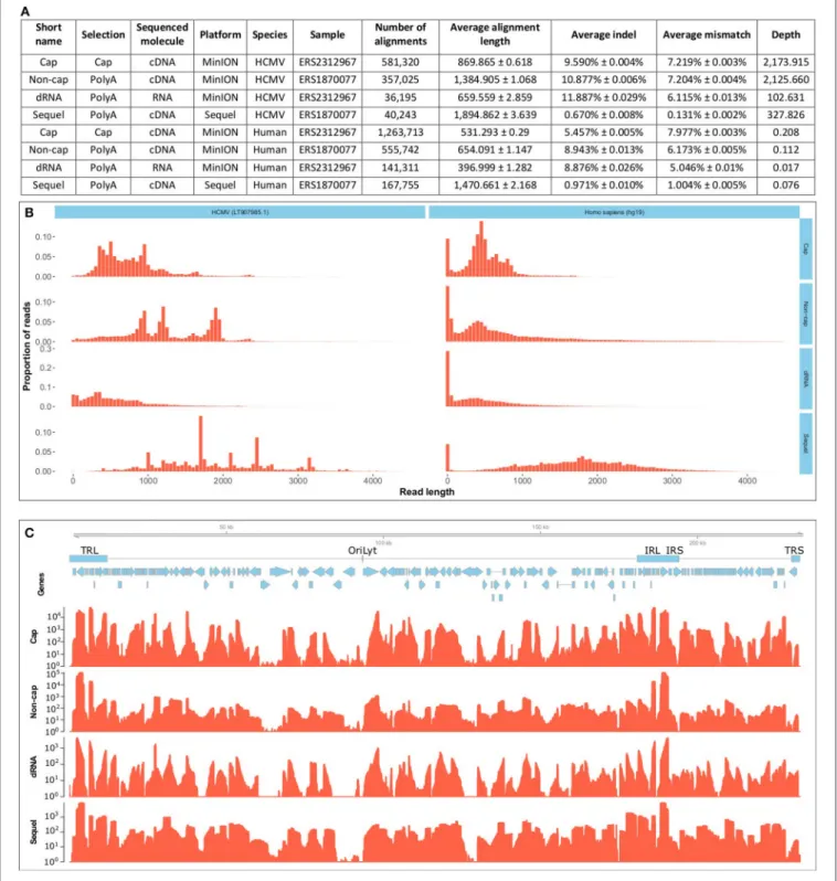 FIGURE 1 | Data quality and metrics. (A) Summarizes the quality metrics of the sequencing reads for each sequencing run broken down per species (host and virus).