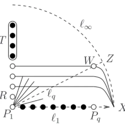 Figure 2: A resolving set for B q of size 3q − 6. We require ZP q ∩ C(P 1 ) ∈ T .