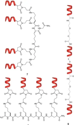 Figure 4. Tetrameric foldamer conjugates with different topology of interaction: focal symmetry (7),  linear, foldamers are connected in parallel (8), linear tetramer (9)