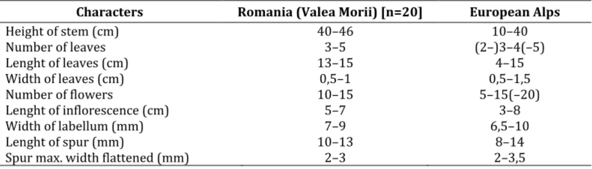 Table 2. Morphological comparison of Dactylorhiza traunsteineri from Romania (Morii Valley) (ined)  with populations from the European Alps (Switzerland) (after R EINHARD  et al