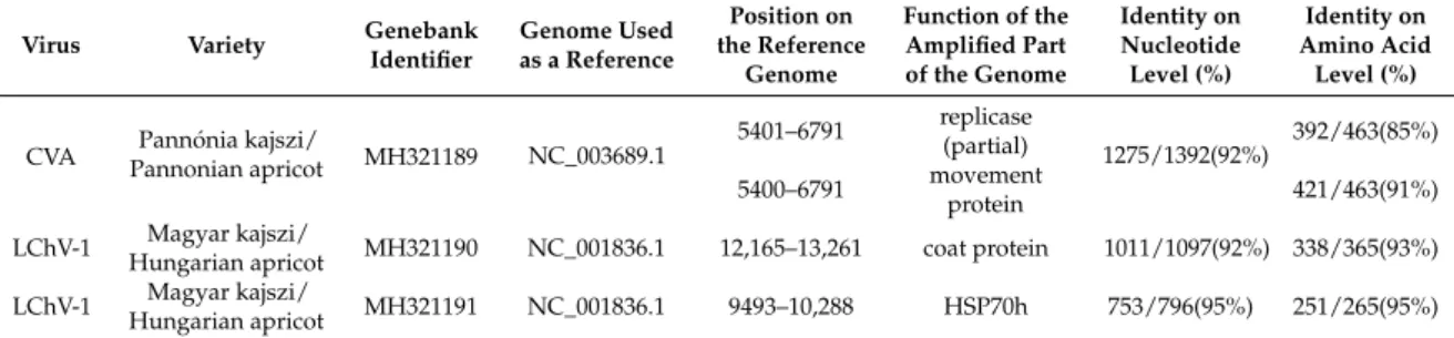 Table 2. Sequences of the amplified part of viruses uploaded into GenBank with their identifier.