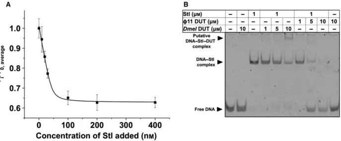 Fig. 4. Functional effects of complex formation between Drosophila melanogaster dUTPase and Stl