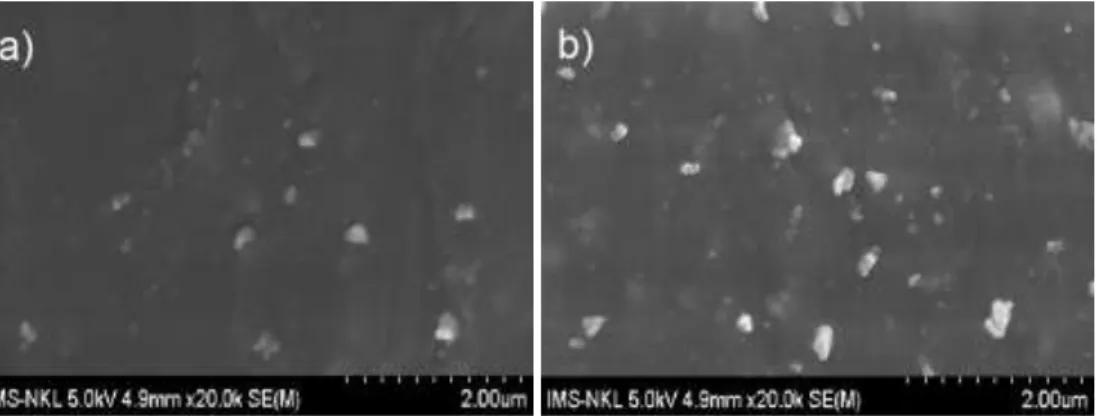 Figure 1 shows SEM pictures taken from the fracture surface of the NR nanocomposites containing 2.5  (NR-2.5BA) and 7.5 phr BA (NR-7.5BA), respectively