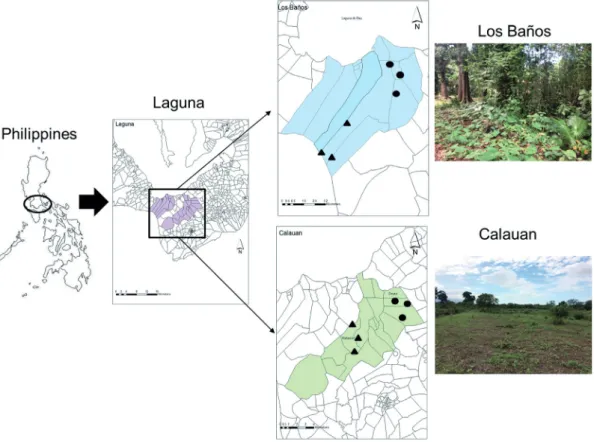 Figure 1. Map of the study area showing the two municipalities of Laguna. Each municipality has two collecting points (dots: 