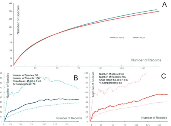 Figure 2. A) Rarefaction curve for the two municipalities and the generated sample based species accumulation curve based  from Chao 1 estimator for (B) Los Baños and (C) Calauan