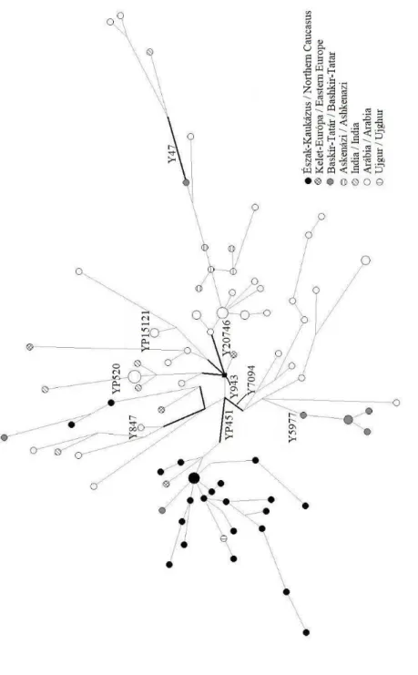3. ábra: Az R1a-Z2123 alcsoporthoz tartozó haplotípusok genetikai hálózata az Y-SNP-k és Y-STR-k alapján Fig