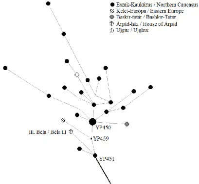 Fig. 4: Network of R1a-YP451 haplotypes based on only Y-STR including the Hungarian  archeogenetic sample  
