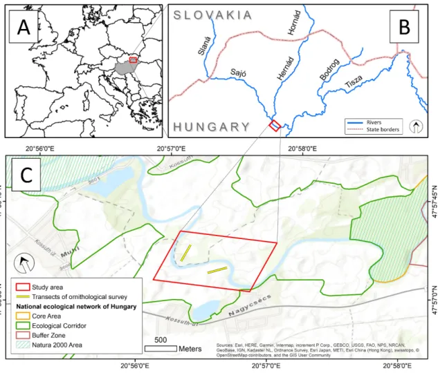 Figure 1. Overview of the study area. (A) Location of the study area in Europe; (B) Location of the  main rivers in the region of study area; (C) Detailed overview of the selected sub-reach of Sajó River