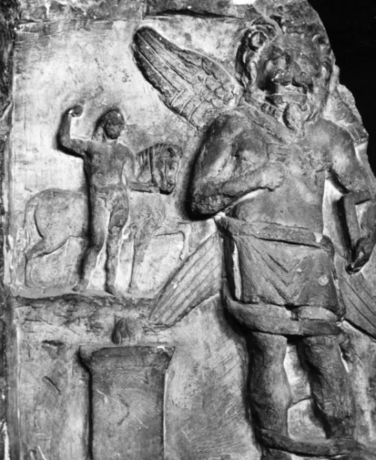 Fig. 5. Limestone low-relief, Vienne, France (CIMRM 902)  