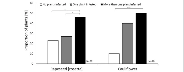 FIGURE 2 | The host acceptance strategy of individual Contarinia nasturtii females on cauliflower and rapeseed (rosette) plants in the host acceptance assay