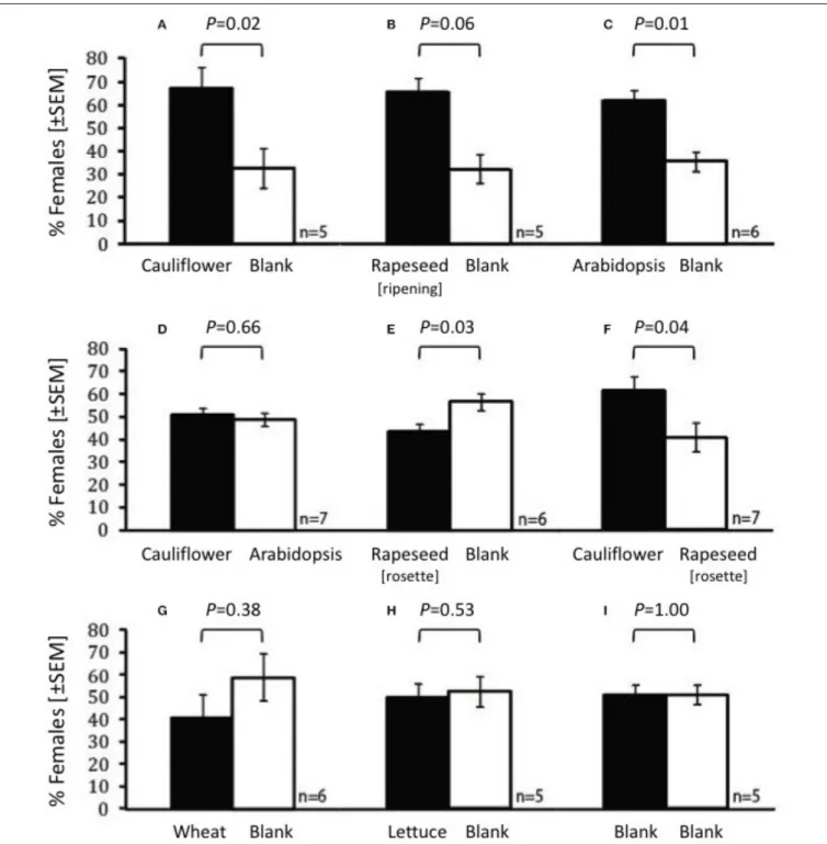 P = 0.368, n = 6; Figure 1A). However, cauliflower was found to be the preferred host in a two-choice assay, with more larvae found on the cauliflower than on rosette stage rapeseed (U = 33.0; P = 0.047, n = 6; Figure 1B).