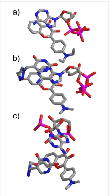 Figure 2: Optimized geometries for (a) DEHF∙ATP, (b) UHF∙ATP with the adenine of ATP “sandwiched” between the uracil and flavone units and (c) UHF∙ATP with hydrogen bonds between the uracil and the adenine moieties.