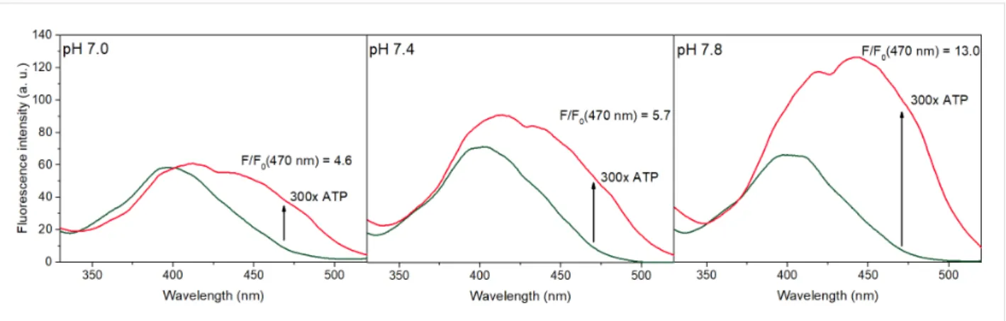 Figure 5: Fluorescence enhancement (F/F 0 ) values of UHF (1.0 μM) upon addition of different nucleotides at 540 nm (excitation: 470 nm), in 0.02 M HEPES buffer in the presence of 0.1 mM γ-cyclodextrin