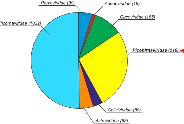 Fig. S1. Pie-chart illustrating the relative abundance of viral metagenomic reads belong to different eukaryotic virus families