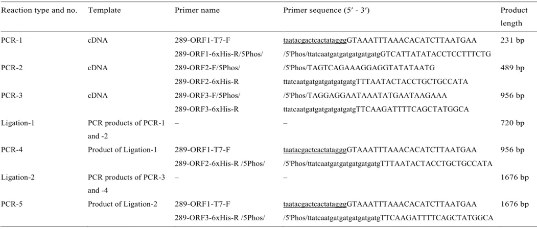 Table 1. Steps and main features (templates and oligonucleotide primers) of PCR and ligation reactions used for the generation of ﬁnal, 1676 bp-long dsDNA construct