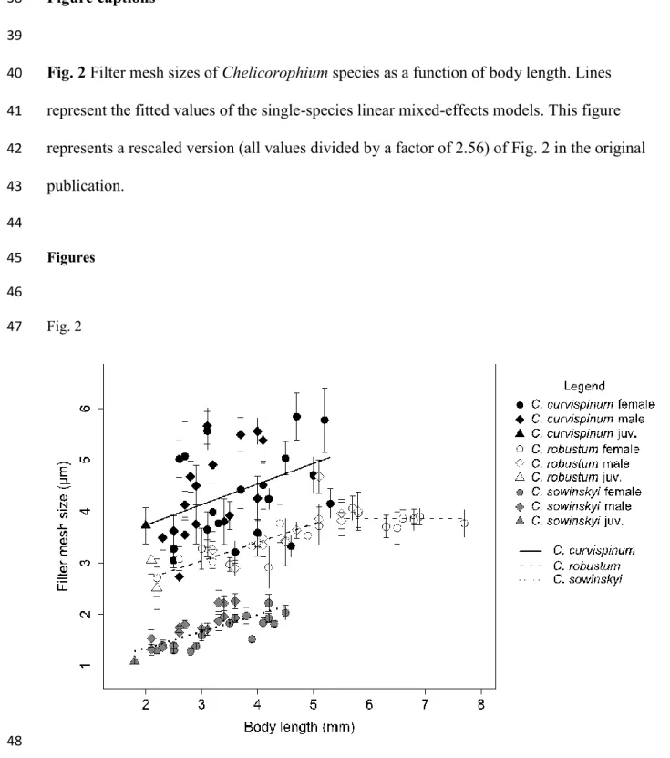 Fig. 2 Filter mesh sizes of Chelicorophium species as a function of body length. Lines  40 