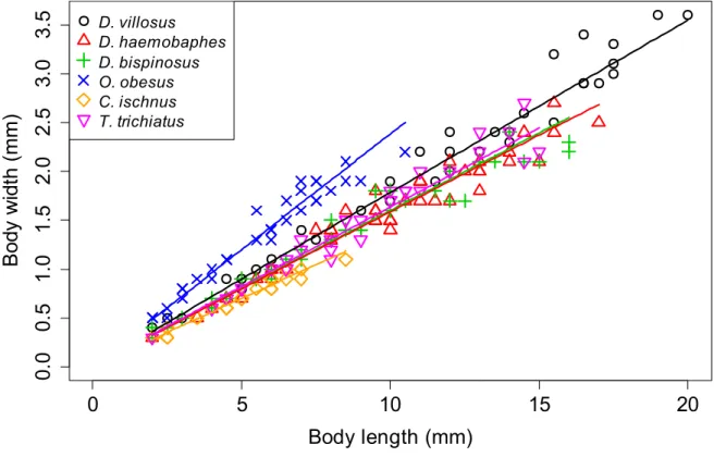 Figure S1 Body length-body width relationships in the studied gammarid species; given only  as  an  illustration  of  their  characteristic  morphological  differences