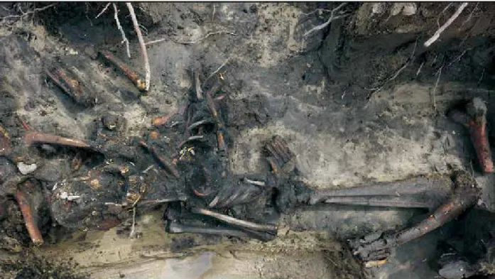 1. kép. Kiskunmajsa-Jonathermal. Az épület padlóján, részleges anatómiai rendben fekvő vázak (ásatási felvétel) Fig