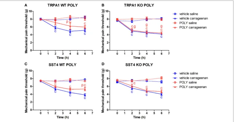 FigUre 1 | Antinociceptive effect of sodium polysulfide (POLY, 17 µmol/kg) in carrageenan-induced paw inflammation is mediated by transient receptor potential  ankyrin 1 (TRPA1) and sst4 receptors