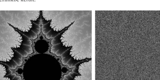 Tekintsünk meg egy Mandelbrot-halmaz (Mandelbrot 1983) képét (1. ábra)! Ezt „bo- „bo-nyolult” (és nem véletlen 6 ) képződménynek tartjuk, pedig a „kódja” csupán egyetlen  ite-rációs képlet