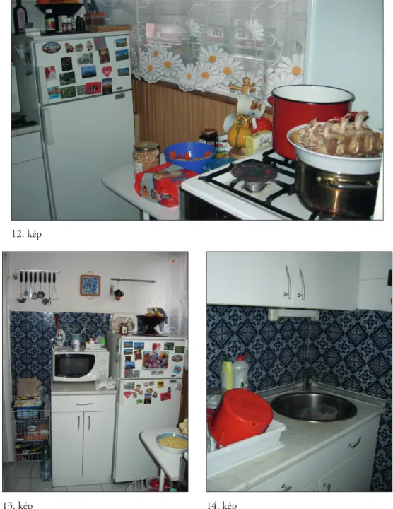 12–14. kép Háromgenerációs, három keresős, négyfős család felújított konyhája (Fotó: Báti Anikó,  Budapest, 2013.)