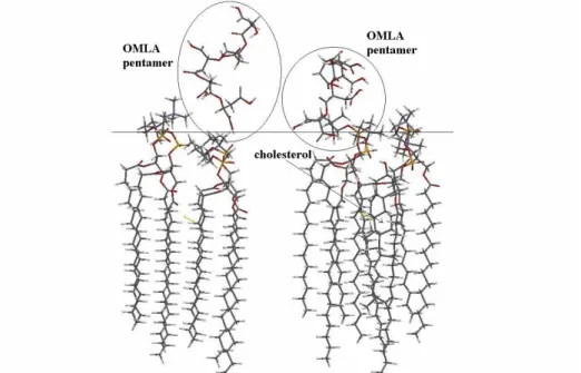 Fig. 7 MM equilibrated packs of molecules are depicted. Individual DPPC (up left), the polar  carbon side chain (sn-2) and apolar main chain (sn-1) each contains CO group (red), and the  polar  head  group  (outward  from  bilayer)  contains  PO 2 -   grou