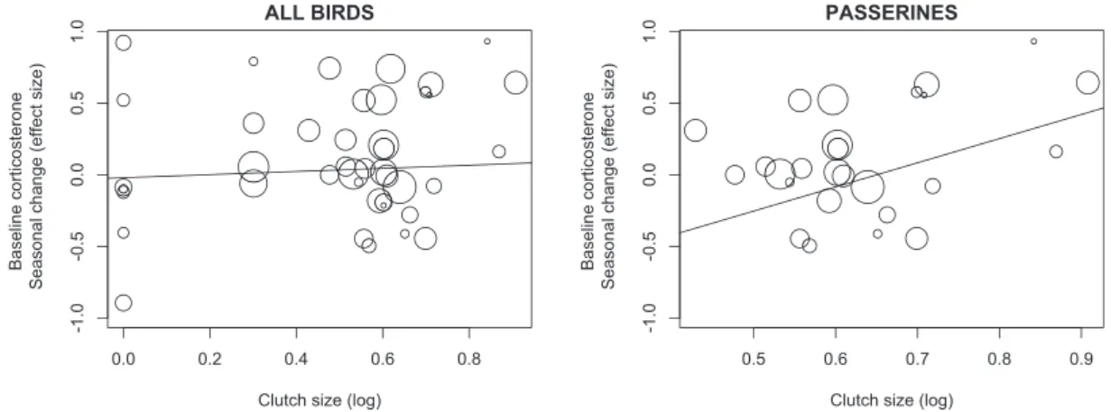 Fig. 3 Seasonal changes in baseline concentrations of corticosterone in relation to clutch size in all species (left) and only in passeriforms (right)