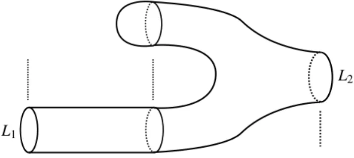 Figure 9: A more useful birth cobordism.