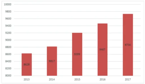 1. ábra: Egyes rendészeti feladatokat ellátók számának alakulása 2013–2017 Forrás: ORFK Rendészeti Főigazgatóság hivatalos írásbeli tájékoztatása, az aktuális 