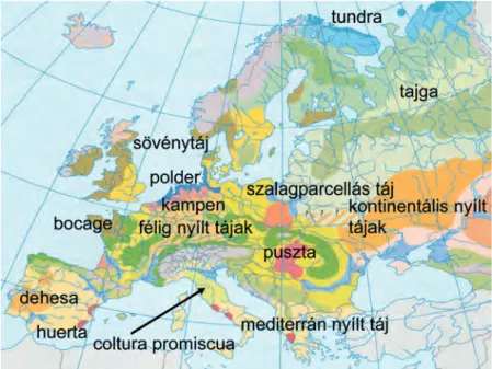 6. ábra Európa tájtípustérképe (M eeus , J. H. a. 1995 alapján szerk. C sorba  P. 2013) Figure 6 Landscape types of Europe (according to M eeus , J