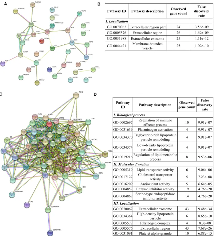 Fig. 2. The protein – protein interaction network and functional classification of up- and downregulated proteins in OSCC