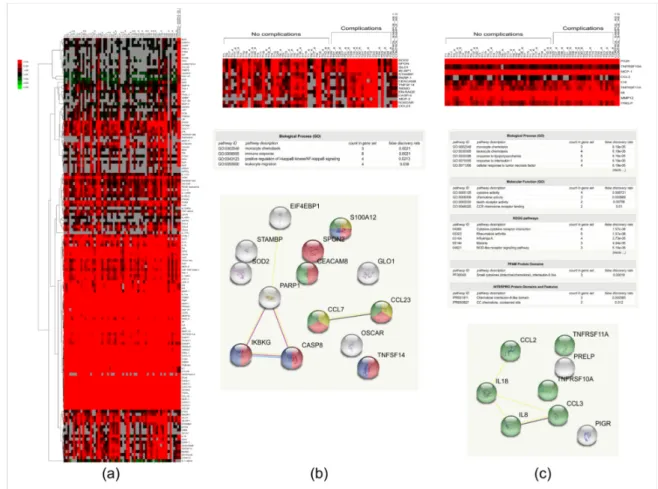 Figure 3. Cluster analysis and heat map of proteins analyzed in tears of patients with glaucoma who 