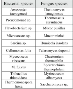 Table 1. The main bacterial and fungus  species of composting processes (Source: De Corato et al., 2018, [3])