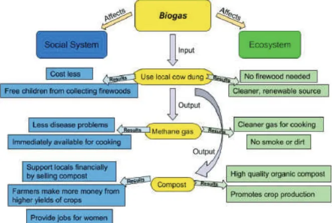 Figure 2 shows the economic-social and environmental impact of biogas production. The resulting biogas is suitable for many utilizations