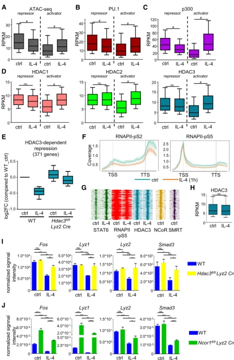Figure 4. IL-4-Induced Changes at Repressor and Activator STAT6 Sites and the Role of HDAC3 in IL-4-STAT6-Mediated Repression