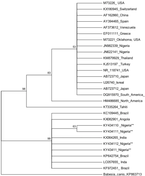 Fig. 2. Phylogenetic analysis of 16S rRNA gene partial sequences of E. canis isolates inferred   using the Maximum Likelihood method