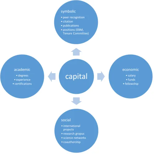 Figure 4. The constituents of capital 