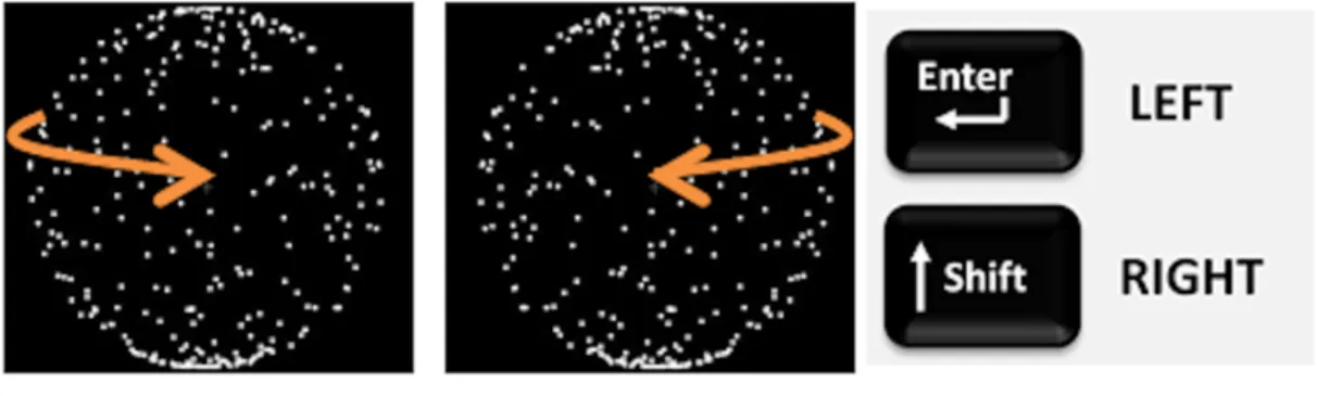 Figure 5. Mnemonics for the perceptual interpretations of the ambiguous structure-from- structure-from-motion stimulus; LEFT, RIGHT and the key assignment