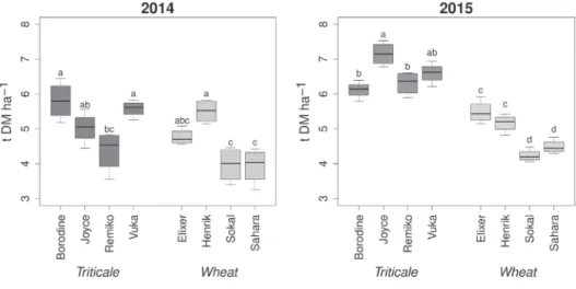 Figure 3. Straw length (cm) of the four triticale and wheat varieties during 2015. Different letters per variety  point to significant differences according to a Dunnett test