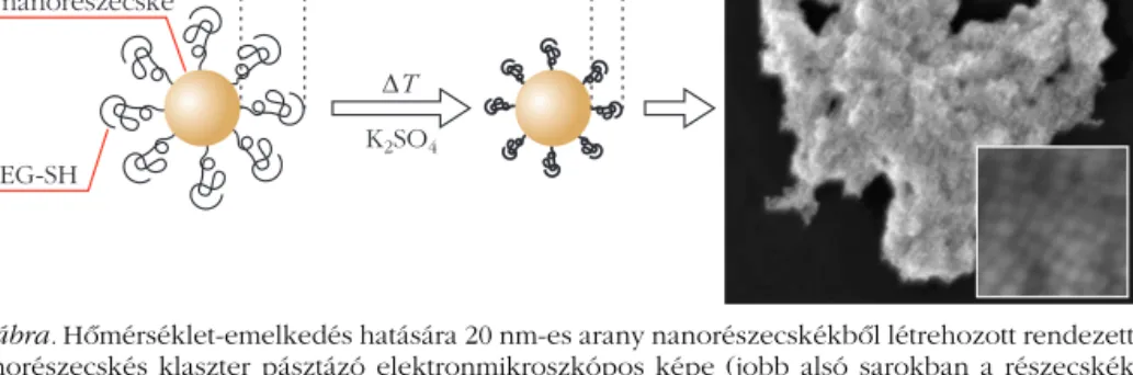 5. ábra. Hõmérséklet-emelkedés hatására 20 nm-es arany nanorészecskékbõl létrehozott rendezett nanorészecskés klaszter pásztázó elektronmikroszkópos képe (jobb alsó sarokban a részecskék szabályos elrendezõdése kinagyítva látható) [4].