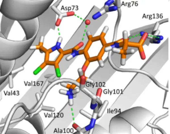 Figure 3. The GOLD-predicted binding pose of inhibitor 9e (in orange sticks) in the E